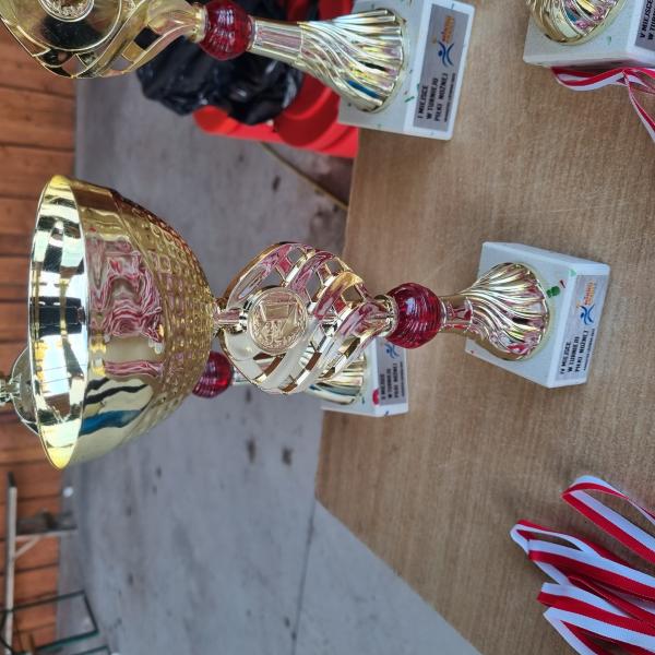 Turniej w Rakoszycach