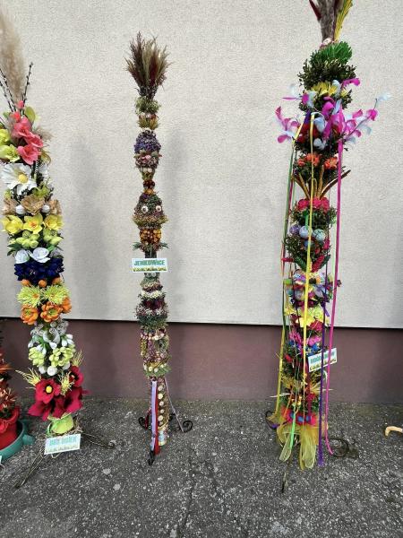 Niedziela Palmowa w Kostomłotach