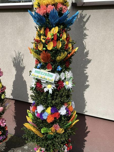 Niedziela Palmowa w Kostomłotach