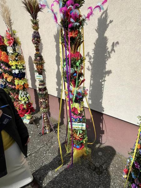 Niedziela Palmowa w Kostomłotach