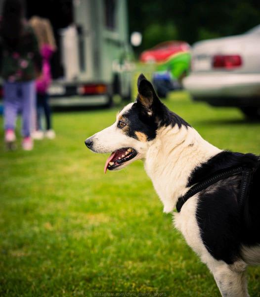 Dzień Dziecka w Piotrowicach