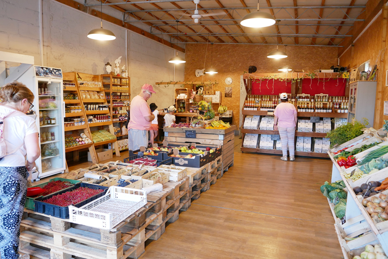 Wyłoniono mistrzów dania z miodem. W Lutyni odbył się Miodowy Piknik