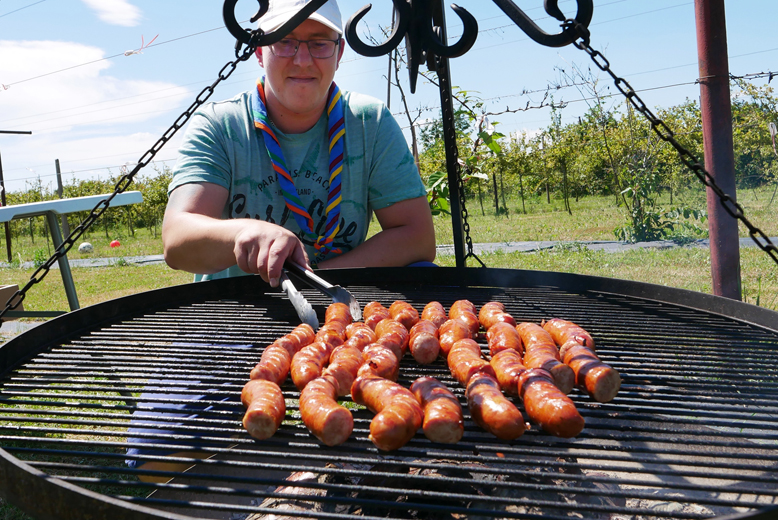 Wyłoniono mistrzów dania z miodem. W Lutyni odbył się Miodowy Piknik