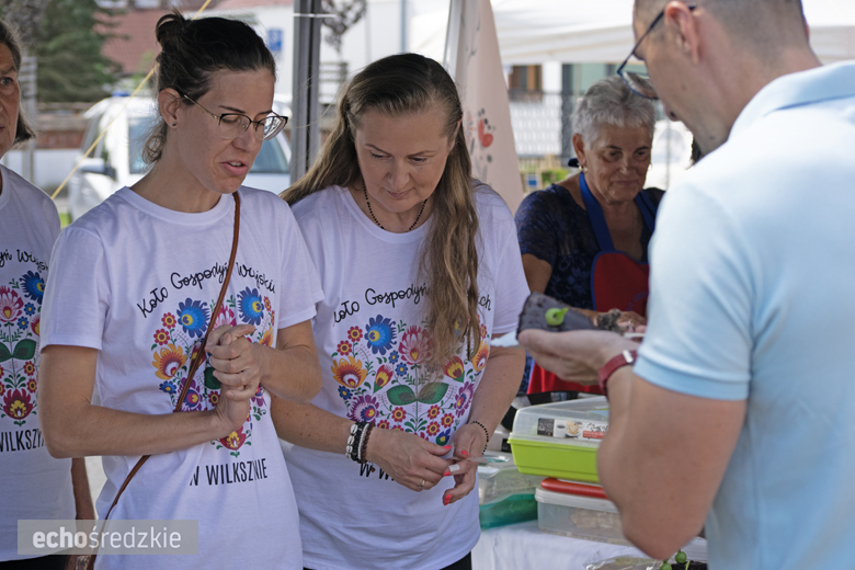 Owocowy Zawrót Głowy w Miękini