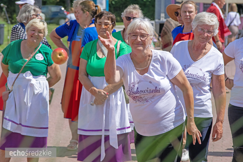 Owocowy Zawrót Głowy w Miękini