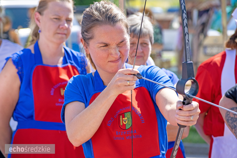Owocowy Zawrót Głowy w Miękini