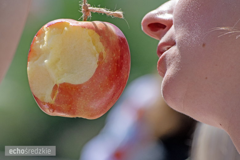 Owocowy Zawrót Głowy w Miękini