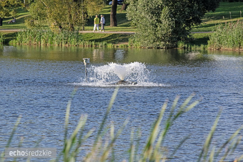 Letnie Granie w Środzie Śląskiej