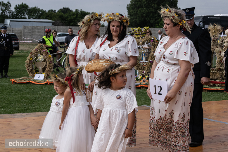 Dożynki Gminy Udanin w Pichorowicach [2024]