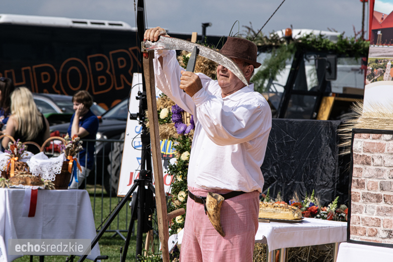 Dożynki Gminy Udanin w Pichorowicach [2024]