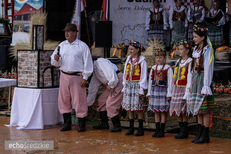 Dożynki Gminy Udanin w Pichorowicach [2024]
