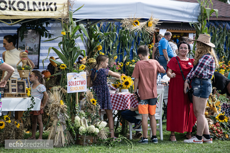 Dożynki Gminy Udanin w Pichorowicach [2024]