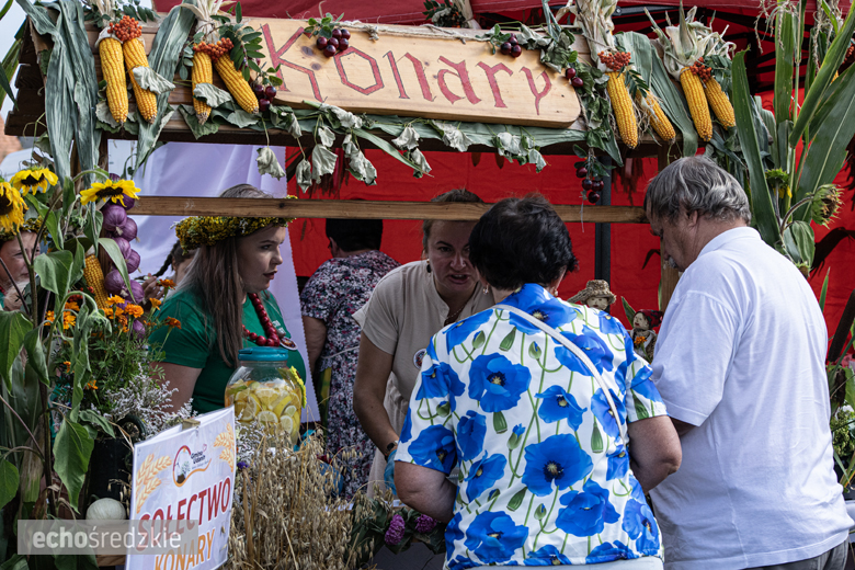 Dożynki Gminy Udanin w Pichorowicach [2024]