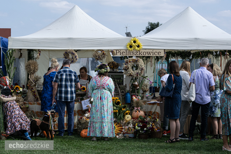 Dożynki Gminy Udanin w Pichorowicach [2024]