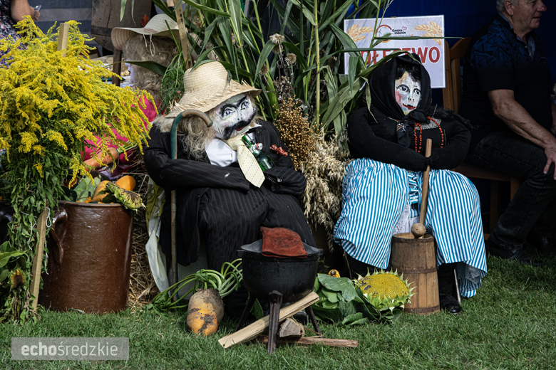 Dożynki Gminy Udanin w Pichorowicach [2024]