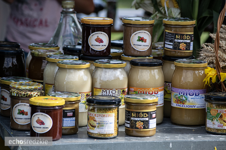 Dożynki Gminy Udanin w Pichorowicach [2024]