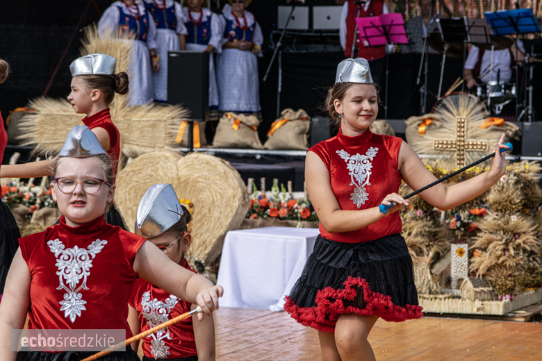 Dożynki Gminy Udanin w Pichorowicach [2024]