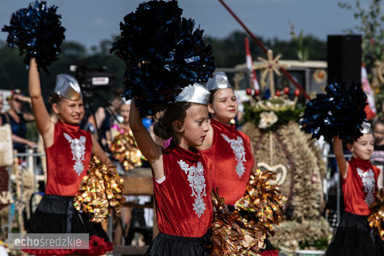 Dożynki Gminy Udanin w Pichorowicach [2024]