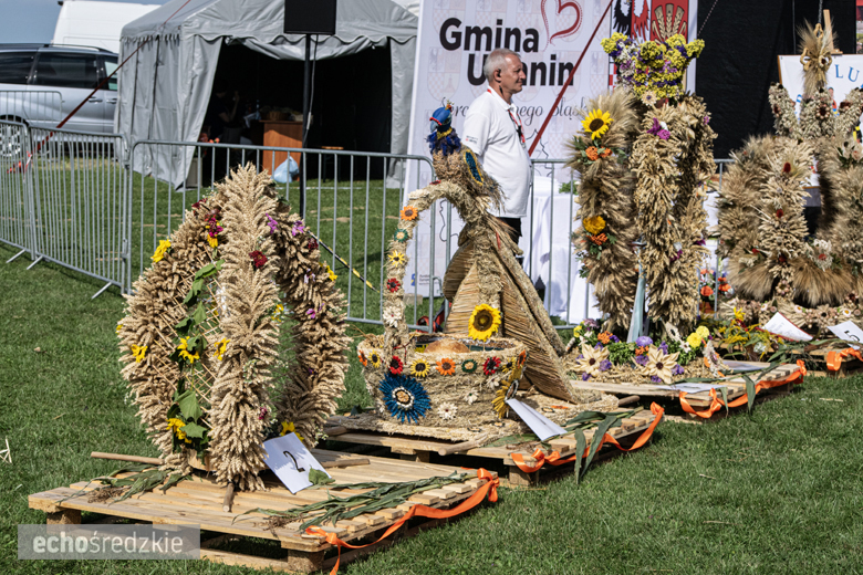 Dożynki Gminy Udanin w Pichorowicach [2024]