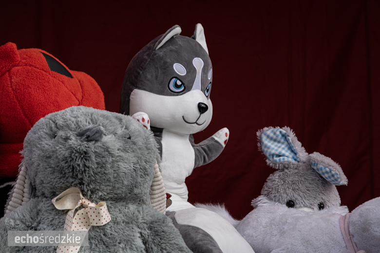 Dożynki Gminy Udanin w Pichorowicach [2024]