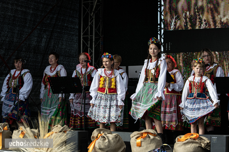 Dożynki Gminy Udanin w Pichorowicach [2024]