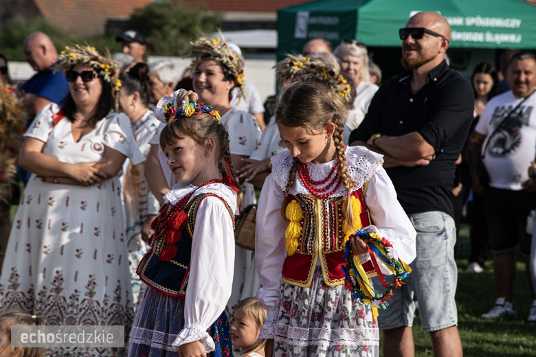 Dożynki Gminy Udanin w Pichorowicach [2024]