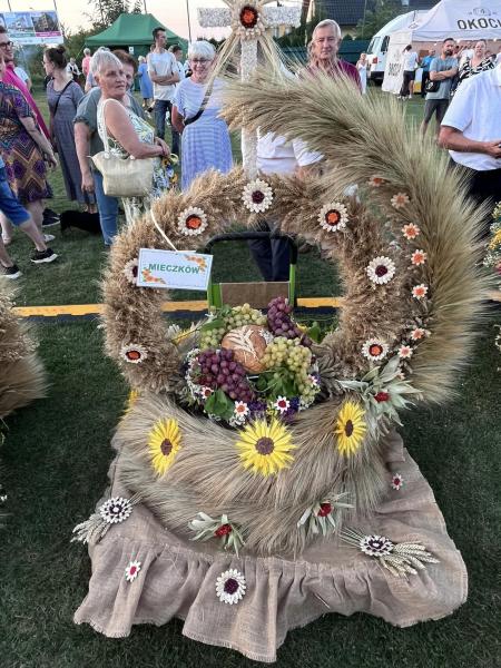 Dożynki Gminne w Kostomłotach