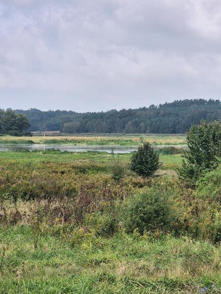 Gmina Środa Śląska wprowadza stan pogotowia przeciwpowodziowego
