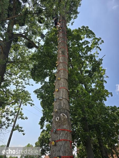 Organizatorzy podsumowują projekt „Malczyce w sercu Europy”