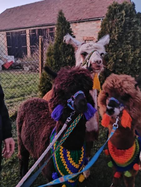 Jarmark Bożonarodzeniowy w Mieczkowie