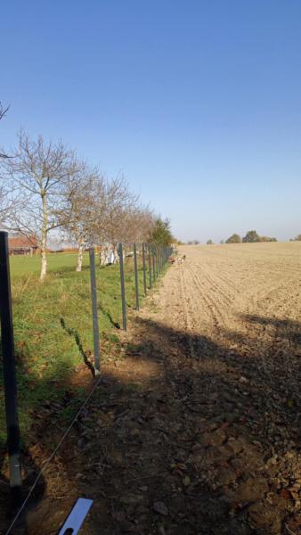 Podsumowanie programu „Aktywni na Ziemi Średzkiej 2025”