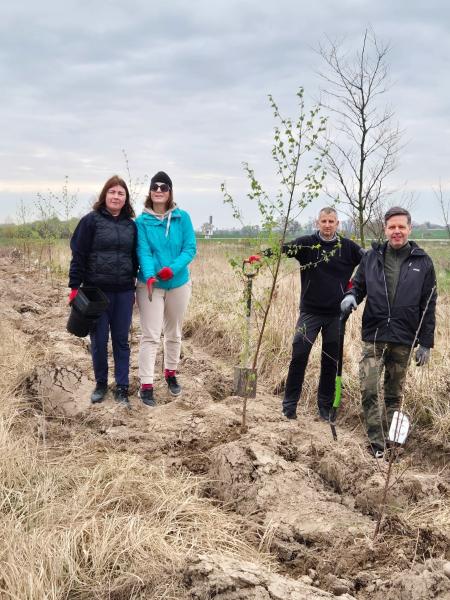 Nowe nasadzenia wzdłuż DK94