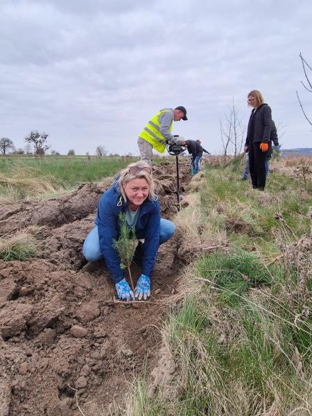 Nowe nasadzenia wzdłuż DK94