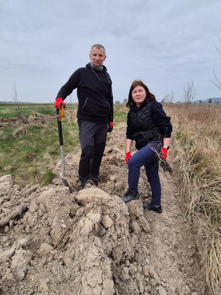 Nowe nasadzenia wzdłuż DK94