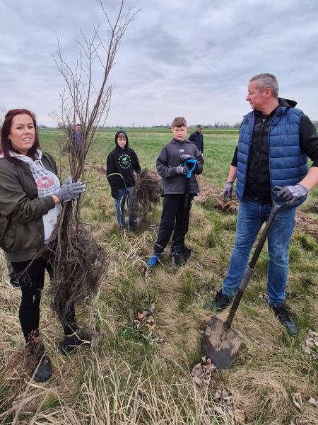 Nowe nasadzenia wzdłuż DK94