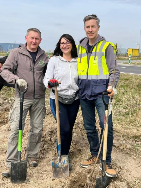 Nowe nasadzenia wzdłuż DK94