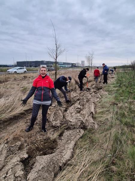 Nowe nasadzenia wzdłuż DK94