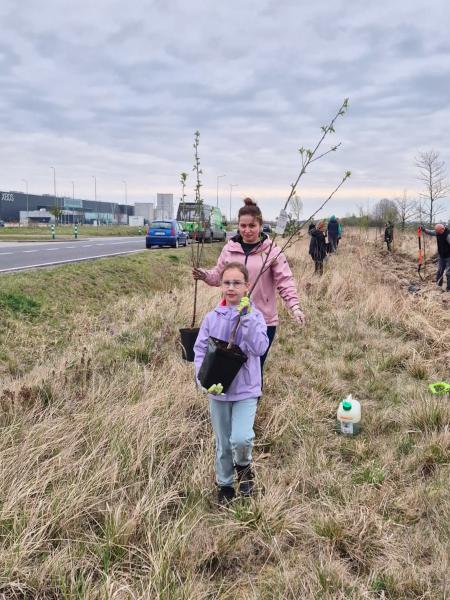 Nowe nasadzenia wzdłuż DK94