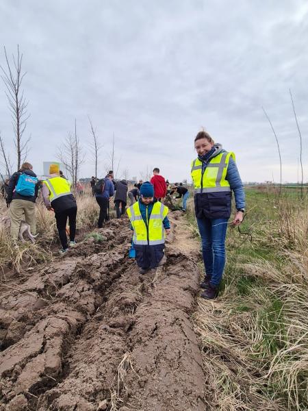 Nowe nasadzenia wzdłuż DK94