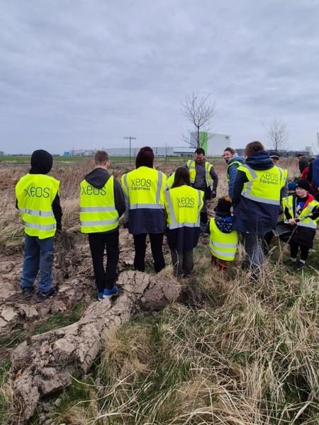 Nowe nasadzenia wzdłuż DK94