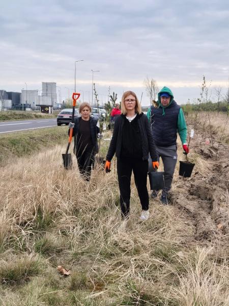 Nowe nasadzenia wzdłuż DK94