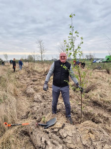 Nowe nasadzenia wzdłuż DK94
