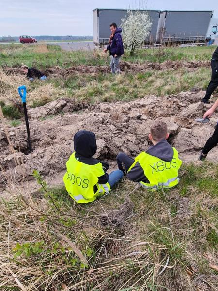 Nowe nasadzenia wzdłuż DK94