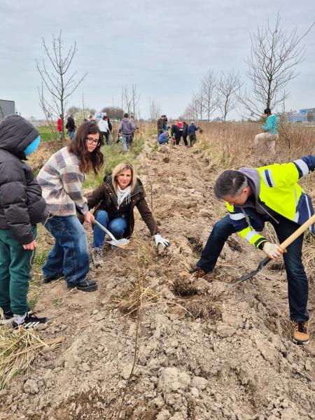 Nowe nasadzenia wzdłuż DK94