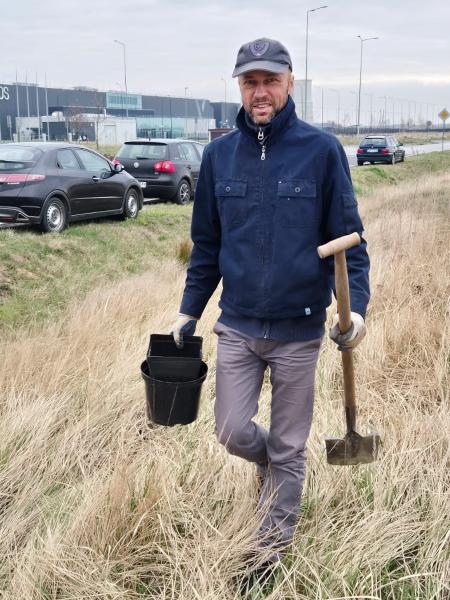 Nowe nasadzenia wzdłuż DK94