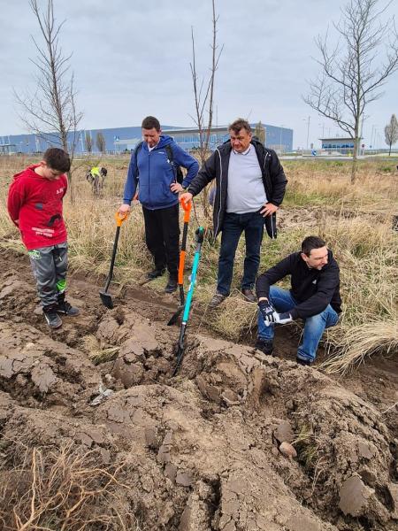 Nowe nasadzenia wzdłuż DK94