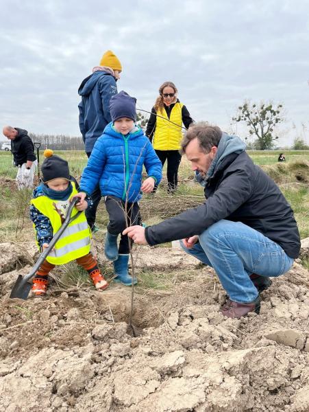 Nowe nasadzenia wzdłuż DK94