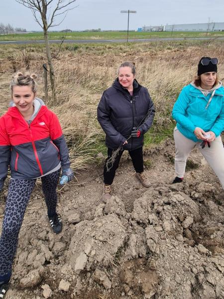 Nowe nasadzenia wzdłuż DK94