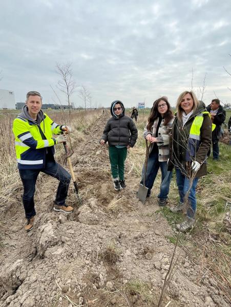 Nowe nasadzenia wzdłuż DK94