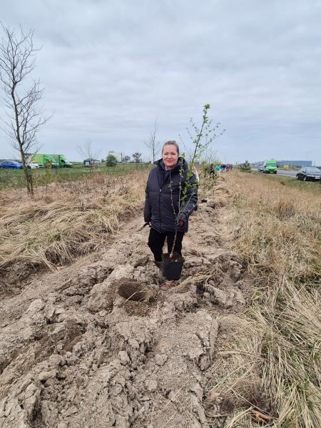 Nowe nasadzenia wzdłuż DK94